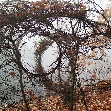 住宿加早餐酒店 Chateau De La Chasse-guerre Hardanges