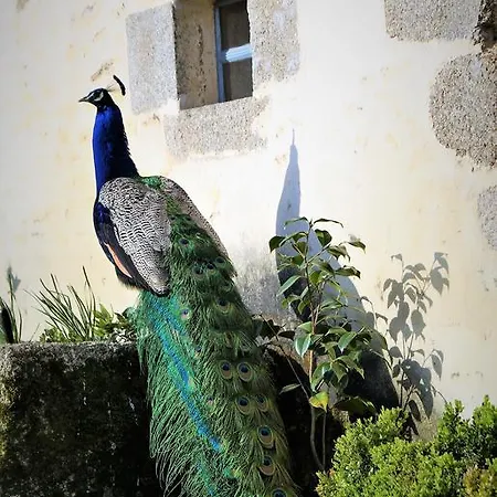 住宿加早餐酒店 Chateau De La Chasse-guerre Hardanges