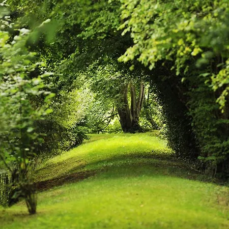 Chateau De La Chasse-guerre *