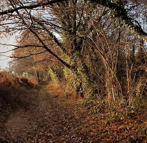 Chateau De La Chasse-guerre B&B Hardanges