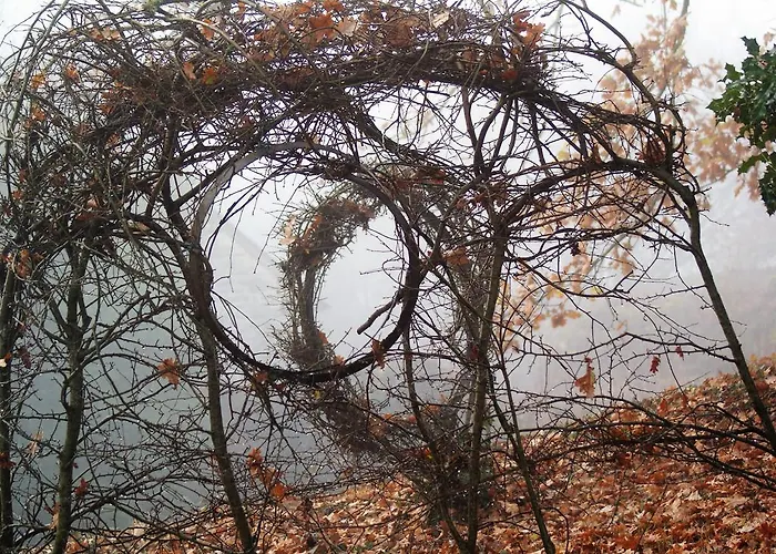 B&B Chateau De La Chasse-guerre Hardanges