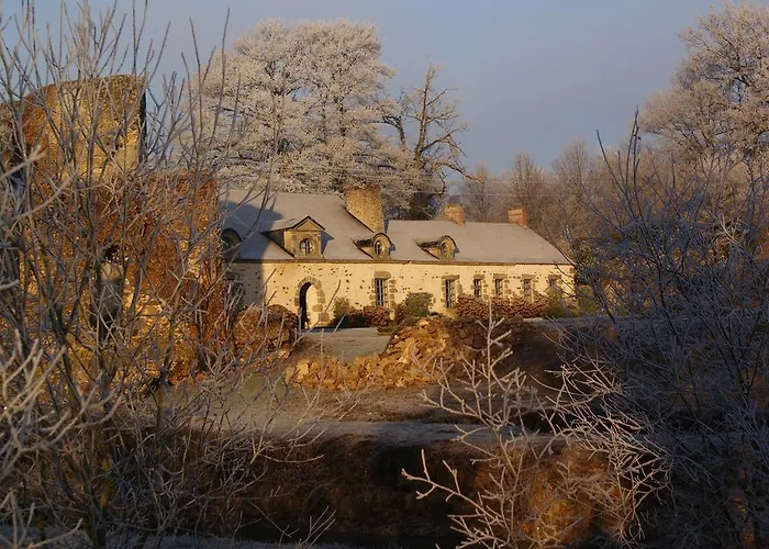 Chateau De La Chasse-guerre B&B *