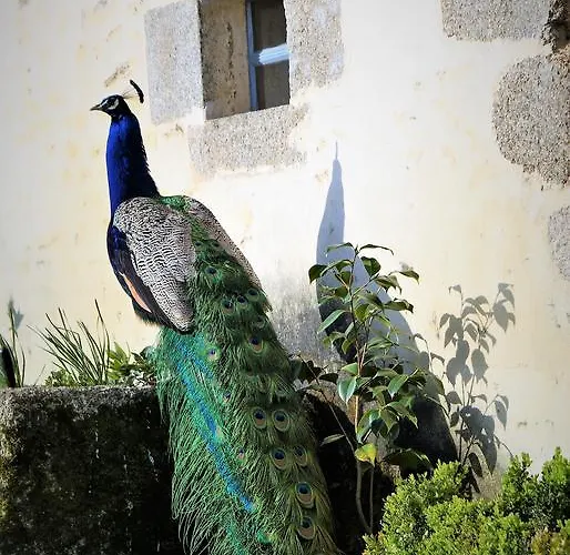 B&B Chateau De La Chasse-guerre Hardanges