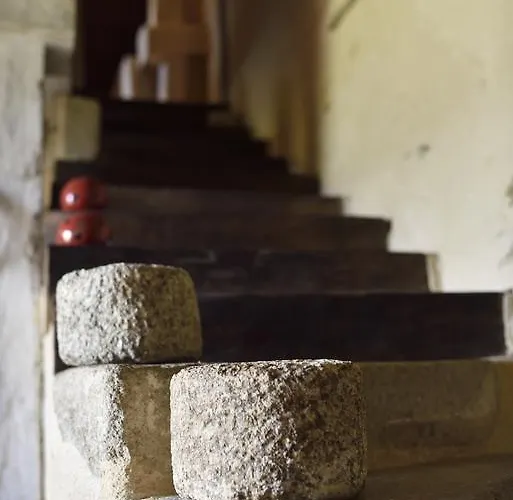 Chateau De La Chasse-guerre B&B *