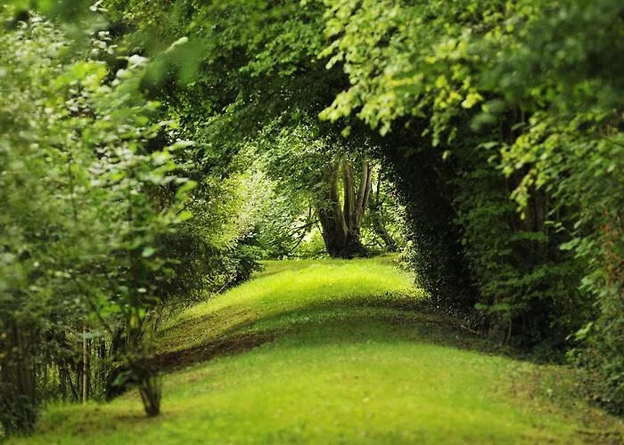 Chateau De La Chasse-guerre *